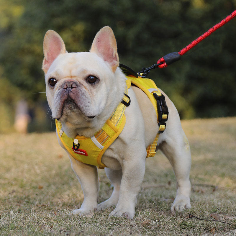 Pet Vest-Style Harness Leash – Anti-Pull, Secure Buckle & Reflective Design