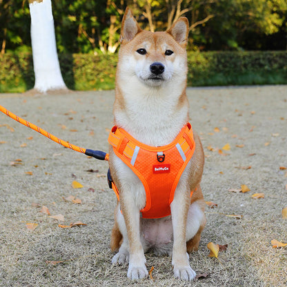 Pet Vest-Style Harness Leash – Anti-Pull, Secure Buckle & Reflective Design
