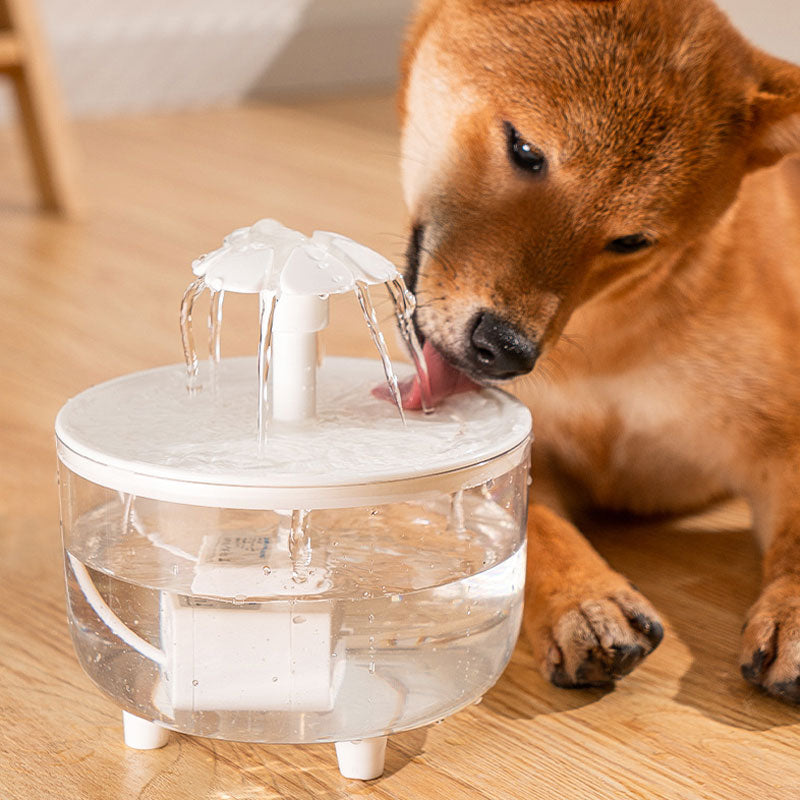 Anti-Dry-Burn Automatic Pet Water Fountain: Flowing Water Circulation & Multi-Layer Filtration