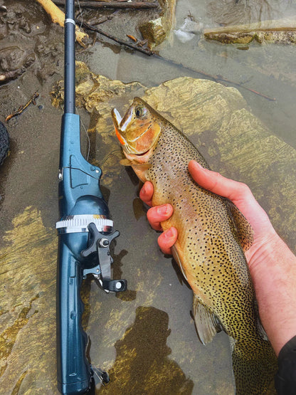 TitanCast · Pro-Folding Travel Rod & Reel Combo